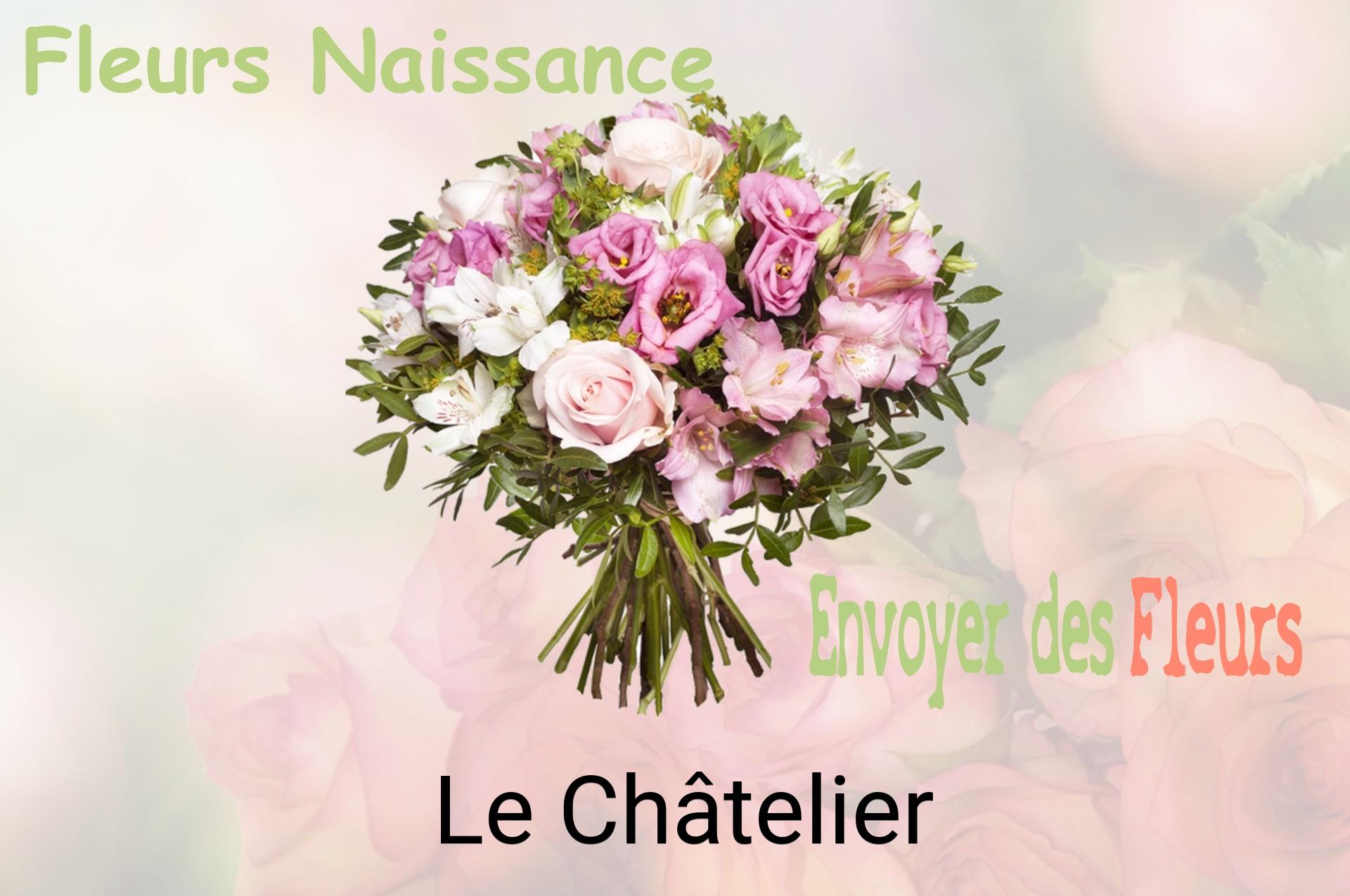 Bouquet de fleurs de naissance livré à Le Châtelier